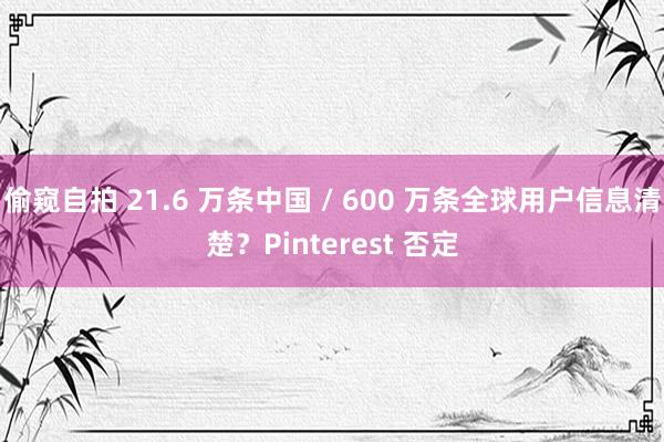 偷窥自拍 21.6 万条中国 / 600 万条全球用户信息清楚？Pinterest 否定