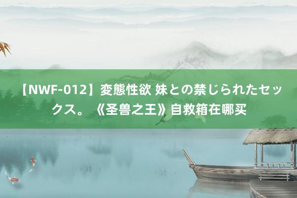 【NWF-012】変態性欲 妹との禁じられたセックス。 《圣兽之王》自救箱在哪买