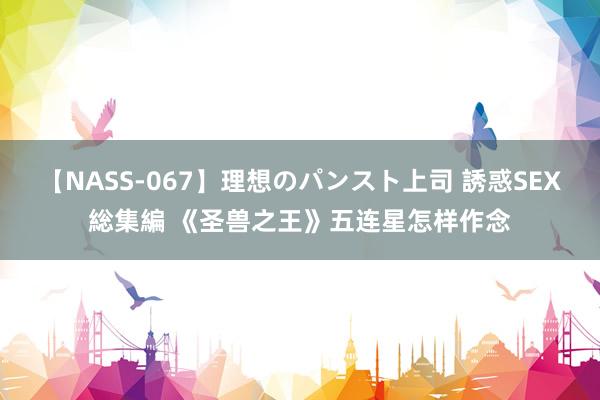 【NASS-067】理想のパンスト上司 誘惑SEX総集編 《圣兽之王》五连星怎样作念