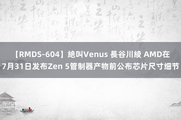 【RMDS-604】絶叫Venus 長谷川綾 AMD在7月31日发布Zen 5管制器产物前公布芯片尺寸细节