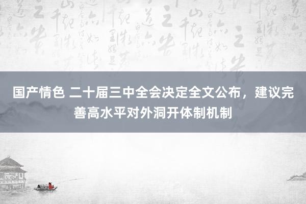 国产情色 二十届三中全会决定全文公布，建议完善高水平对外洞开体制机制