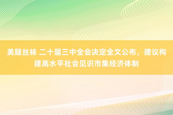 美腿丝袜 二十届三中全会决定全文公布，建议构建高水平社会见识市集经济体制