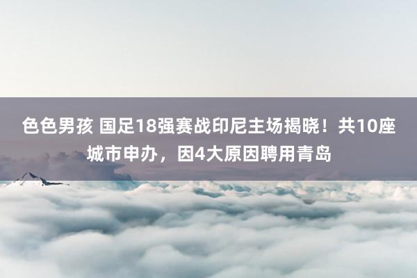 色色男孩 国足18强赛战印尼主场揭晓！共10座城市申办，因4大原因聘用青岛