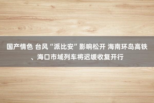 国产情色 台风“派比安”影响松开 海南环岛高铁、海口市域列车将迟缓收复开行