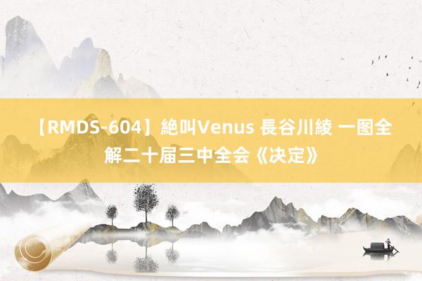 【RMDS-604】絶叫Venus 長谷川綾 一图全解二十届三中全会《决定》