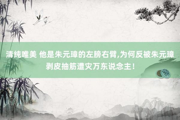 清纯唯美 他是朱元璋的左膀右臂,为何反被朱元璋剥皮抽筋遭灾万东说念主！