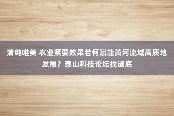 清纯唯美 农业紧要效果若何赋能黄河流域高质地发展？泰山科技论坛找谜底