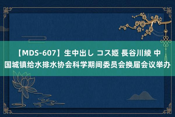 【MDS-607】生中出し コス姫 長谷川綾 中国城镇给水排水协会科学期间委员会换届会议举办