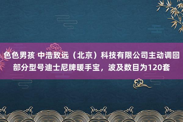 色色男孩 中浩致远（北京）科技有限公司主动调回部分型号迪士尼牌暖手宝，波及数目为120套