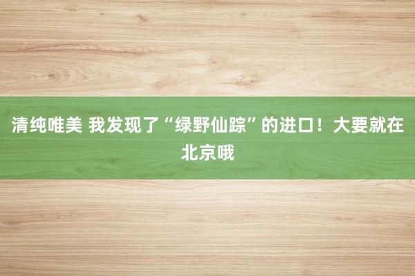 清纯唯美 我发现了“绿野仙踪”的进口！大要就在北京哦