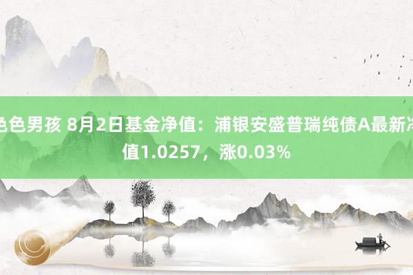 色色男孩 8月2日基金净值：浦银安盛普瑞纯债A最新净值1.0257，涨0.03%