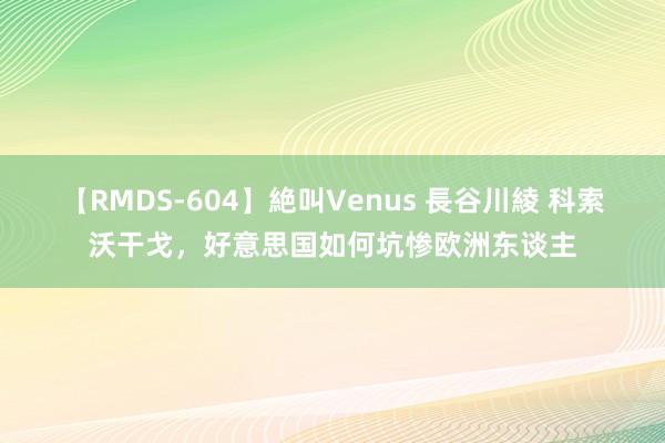 【RMDS-604】絶叫Venus 長谷川綾 科索沃干戈，好意思国如何坑惨欧洲东谈主