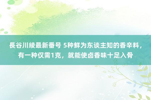 長谷川綾最新番号 5种鲜为东谈主知的香辛料，有一种仅需1克，就能使卤香味十足入骨