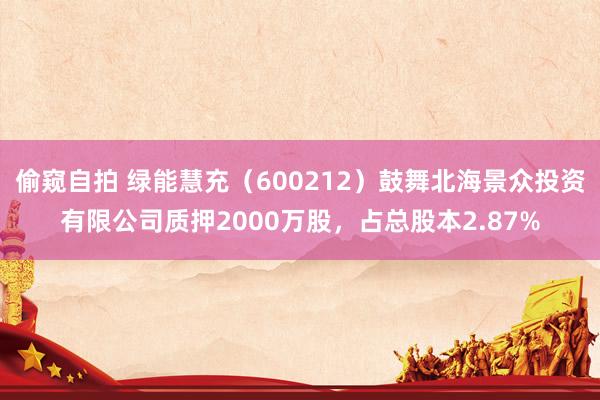 偷窥自拍 绿能慧充（600212）鼓舞北海景众投资有限公司质押2000万股，占总股本2.87%