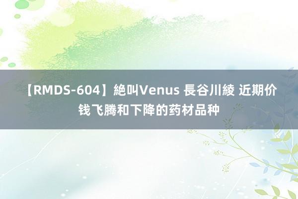 【RMDS-604】絶叫Venus 長谷川綾 近期价钱飞腾和下降的药材品种