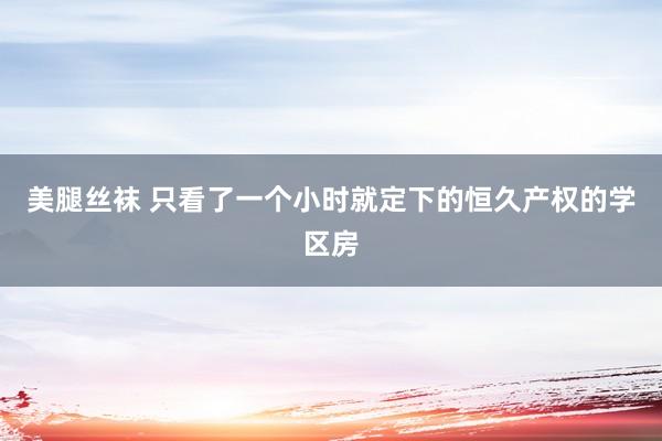 美腿丝袜 只看了一个小时就定下的恒久产权的学区房