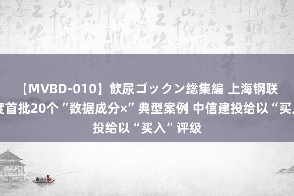 【MVBD-010】飲尿ゴックン総集編 上海钢联入选国度首批20个“数据成分×”典型案例 中信建投给以“买入”评级