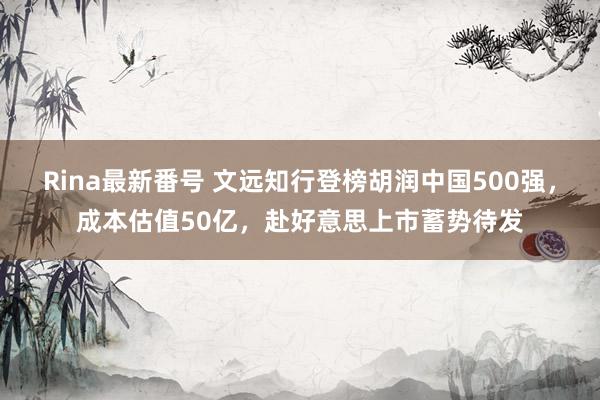 Rina最新番号 文远知行登榜胡润中国500强，成本估值50亿，赴好意思上市蓄势待发