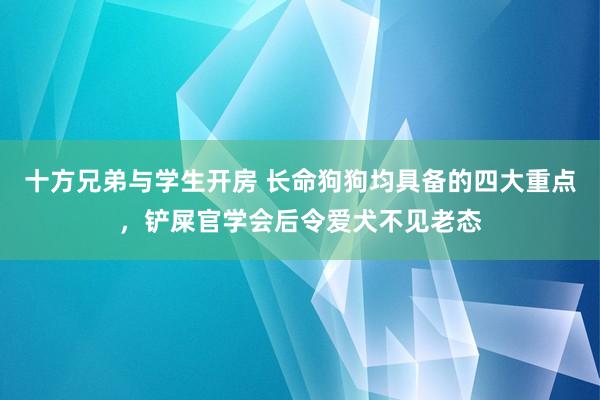 十方兄弟与学生开房 长命狗狗均具备的四大重点，铲屎官学会后令爱犬不见老态