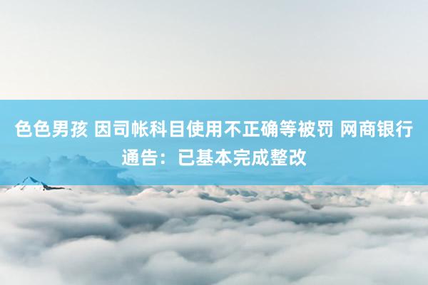 色色男孩 因司帐科目使用不正确等被罚 网商银行通告：已基本完成整改