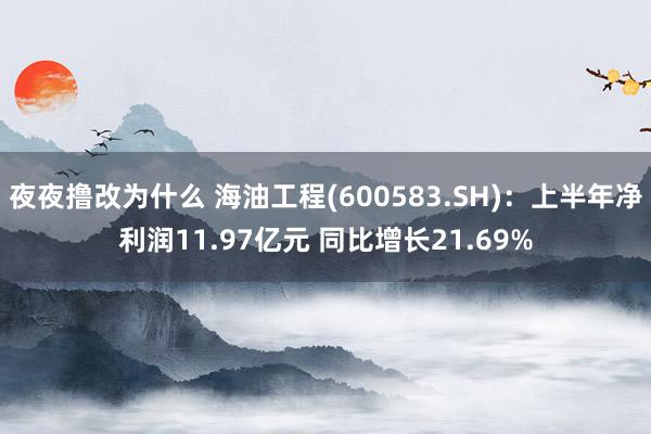 夜夜撸改为什么 海油工程(600583.SH)：上半年净利润11.97亿元 同比增长21.69%