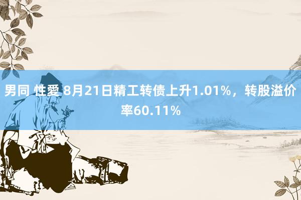 男同 性愛 8月21日精工转债上升1.01%，转股溢价率60.11%