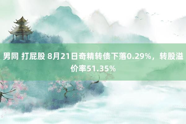 男同 打屁股 8月21日奇精转债下落0.29%，转股溢价率51.35%