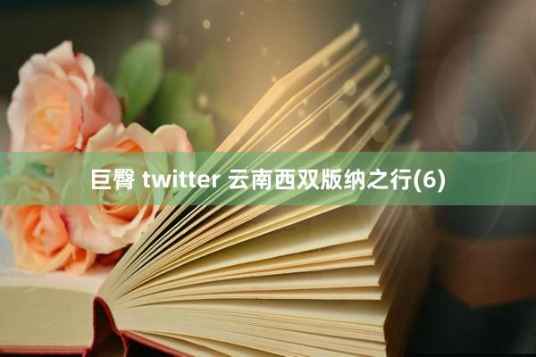 巨臀 twitter 云南西双版纳之行(6)