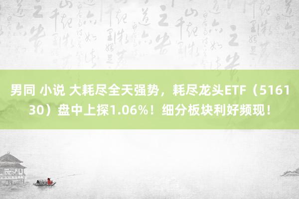 男同 小说 大耗尽全天强势，耗尽龙头ETF（516130）盘中上探1.06%！细分板块利好频现！