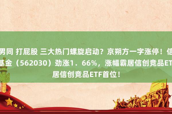 男同 打屁股 三大热门螺旋启动？京朔方一字涨停！信创ETF基金（562030）劲涨1．66%，涨幅霸居信创竞品ETF首位！