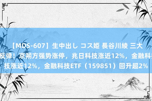 【MDS-607】生中出し コス姫 長谷川綾 三大赛谈提振，金融科技超跌反弹！京朔方强势涨停，兆日科技涨近12%，金融科技ETF（159851）回升超2%