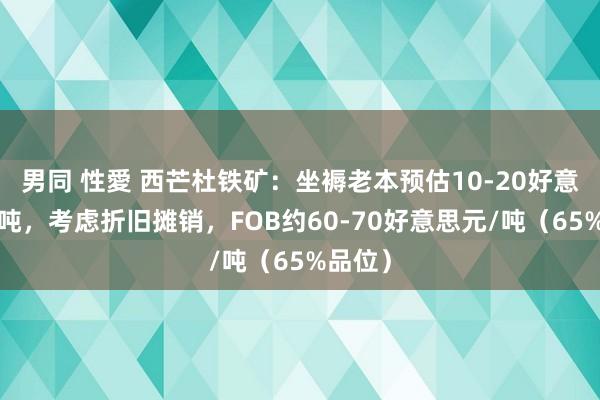 男同 性愛 西芒杜铁矿：坐褥老本预估10-20好意思元/吨，考虑折旧摊销，FOB约60-70好意思元/吨（65%品位）