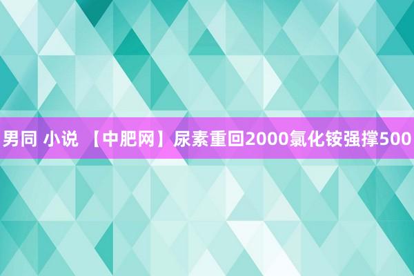 男同 小说 【中肥网】尿素重回2000　氯化铵强撑500