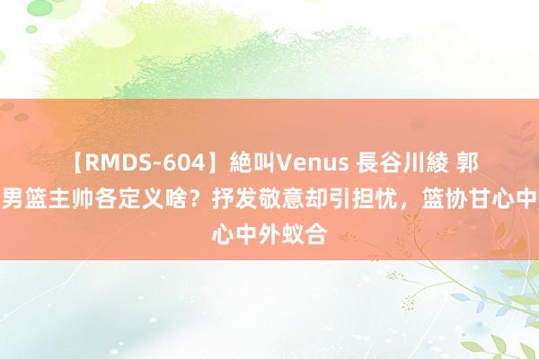 【RMDS-604】絶叫Venus 長谷川綾 郭士强成男篮主帅各定义啥？抒发敬意却引担忧，篮协甘心中外蚁合