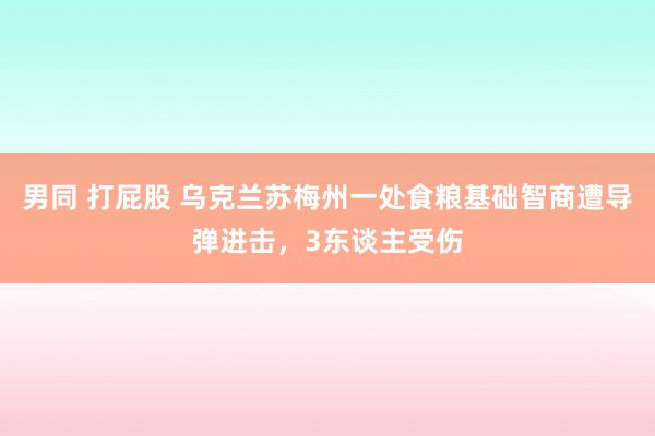 男同 打屁股 乌克兰苏梅州一处食粮基础智商遭导弹进击，3东谈主受伤