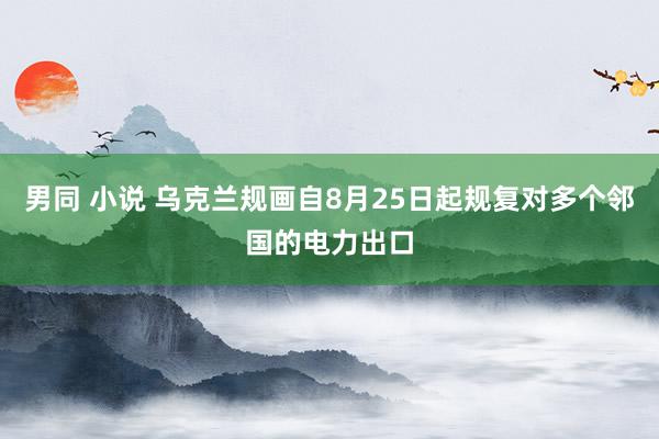 男同 小说 乌克兰规画自8月25日起规复对多个邻国的电力出口