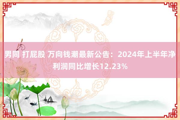 男同 打屁股 万向钱潮最新公告：2024年上半年净利润同比增长12.23%