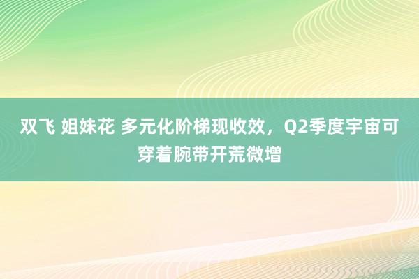 双飞 姐妹花 多元化阶梯现收效，Q2季度宇宙可穿着腕带开荒微增