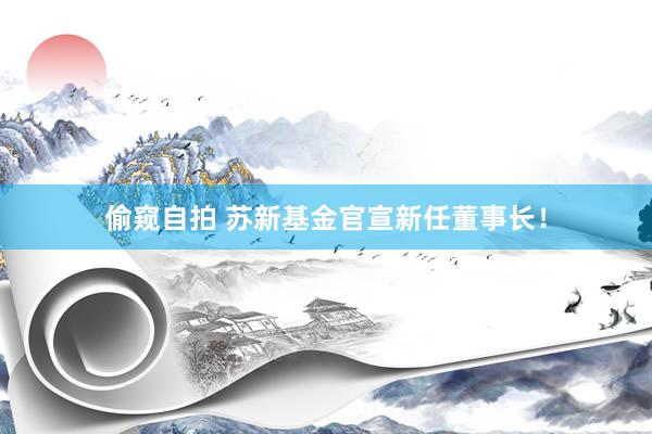 偷窥自拍 苏新基金官宣新任董事长！