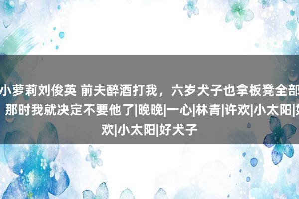 小萝莉刘俊英 前夫醉酒打我，六岁犬子也拿板凳全部打我，那时我就决定不要他了|晚晚|一心|林青|许欢|小太阳|好犬子