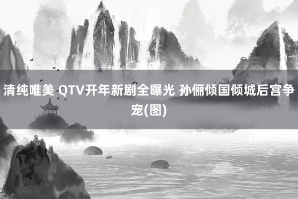 清纯唯美 QTV开年新剧全曝光 孙俪倾国倾城后宫争宠(图)