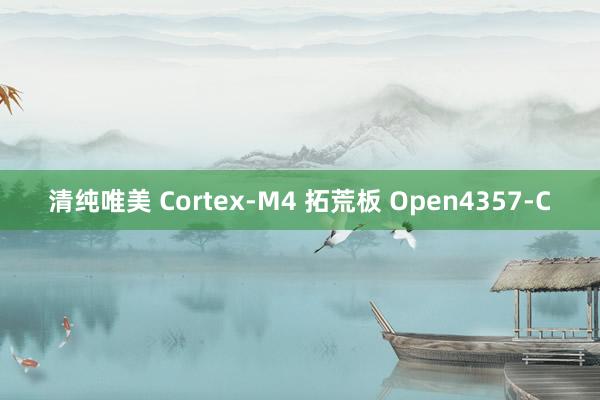 清纯唯美 Cortex-M4 拓荒板 Open4357-C