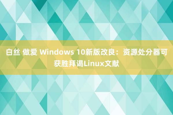 白丝 做爱 Windows 10新版改良：资源处分器可获胜拜谒Linux文献