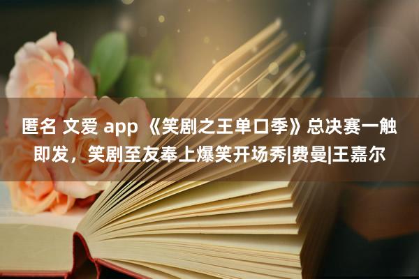 匿名 文爱 app 《笑剧之王单口季》总决赛一触即发，笑剧至友奉上爆笑开场秀|费曼|王嘉尔